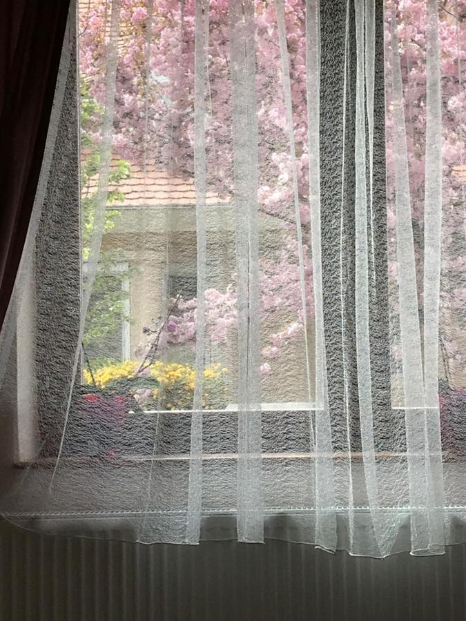 Casa Marherita Appartman Hajduszoboszlo Ngoại thất bức ảnh
